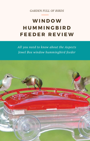 Aspects jewel box window hummingbird feeder