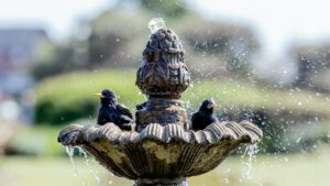 How Do I Encourage Birds To Use a Bird Bath