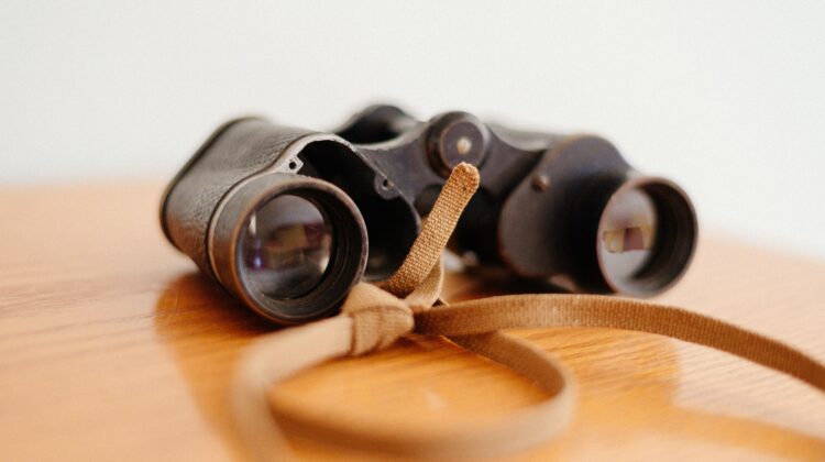 best budget binoculars for bird watching