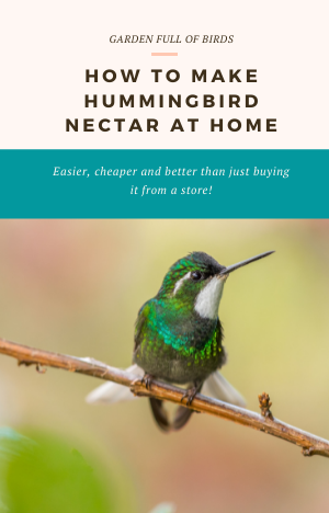 how to make hummingbird nectar at home